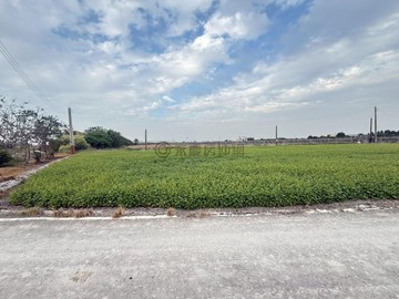 竹塘60米大面寬農保低總價高投報..小武店長｜彰化縣竹塘鄉民靖段