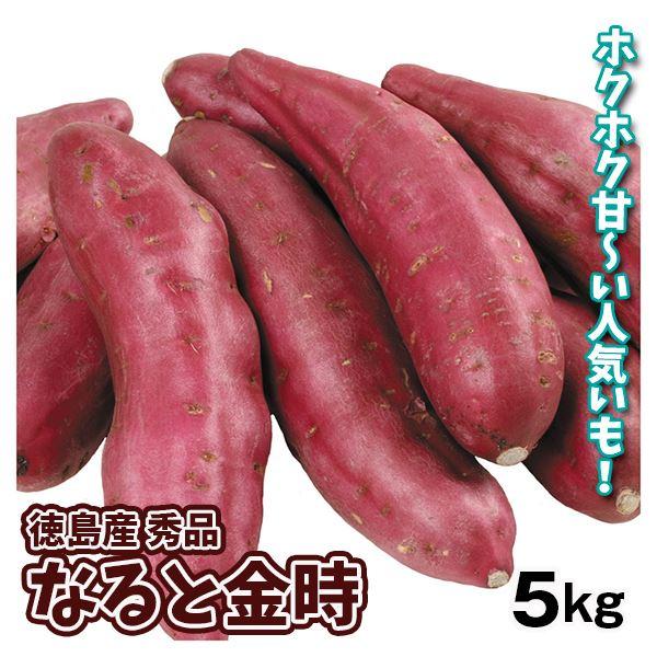 さつまいも 生芋 なると金時 5kg 徳島産 秀品 M〜2L 送料無料 鳴門 食品 国華園