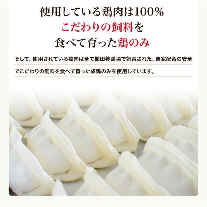 ＼おひとり様1回限り／お試しで1袋！名古屋コーチン餃子冷凍餃子 餃子 送料無料 お試し 生餃子 冷凍生餃子 食品 惣菜 中華 鶏肉