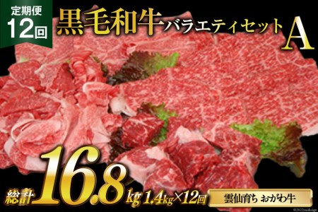 定期便 12回 牛肉 雲仙育ち おがわ牛 バラエティーセットA 総計16.8kg(1.4kg×12回) 黒毛和牛 上ロース薄切り肉 モモ薄切り肉 切落とし カレー肉 冷凍   焼肉おがわ   長崎県 雲仙市