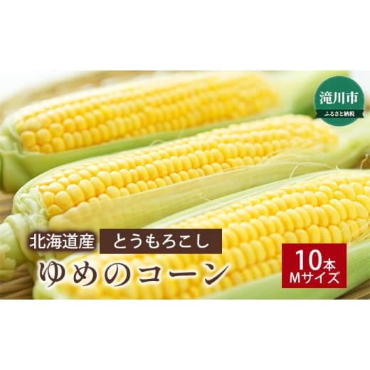 ふるさと納税 北海道 滝川市 北海道産 とうもろこし ゆめのコーン 10本(Mサイズ)＜2024年8月中旬〜順次出荷＞｜北海道 滝川市 トウモロコシ とうきび トウキビ…