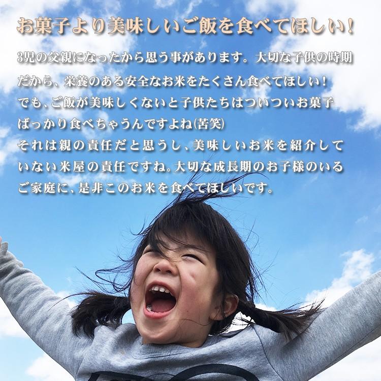 新米 お米 2kg あきたこまち 送料別 お試し 白米 玄米  秋田小町 秋田県産 令和5年産 米 2キロ 食品