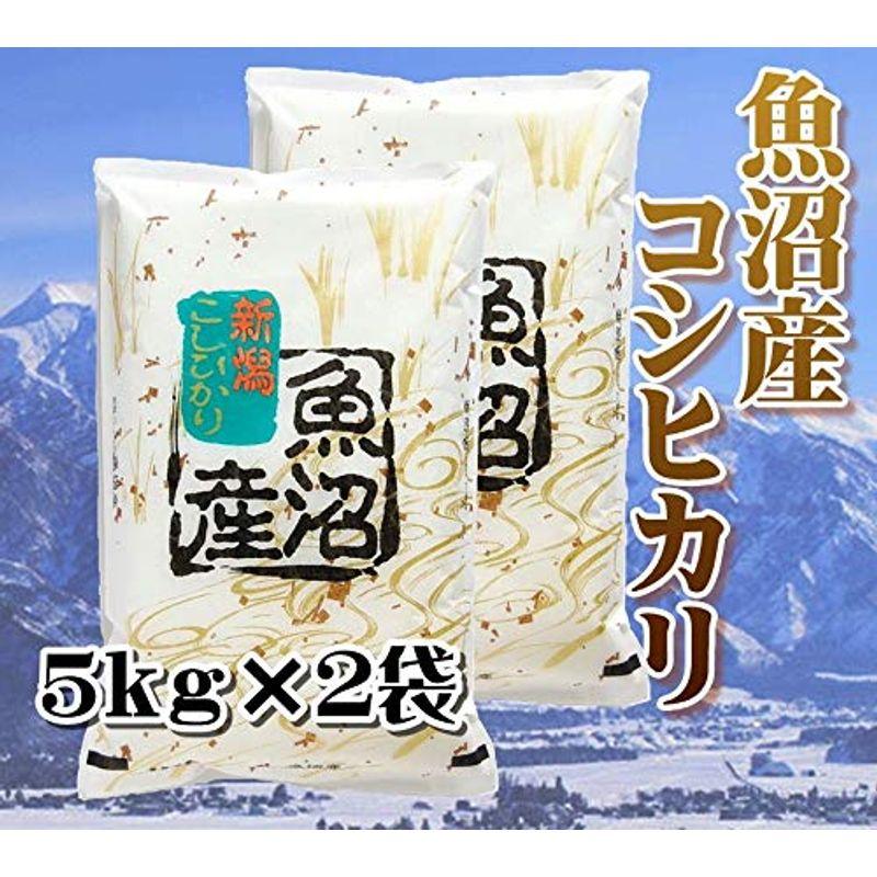 魚沼産コシヒカリ 従来型 令和4年産 精白米 １０ｋｇ (５ｋｇ×２)