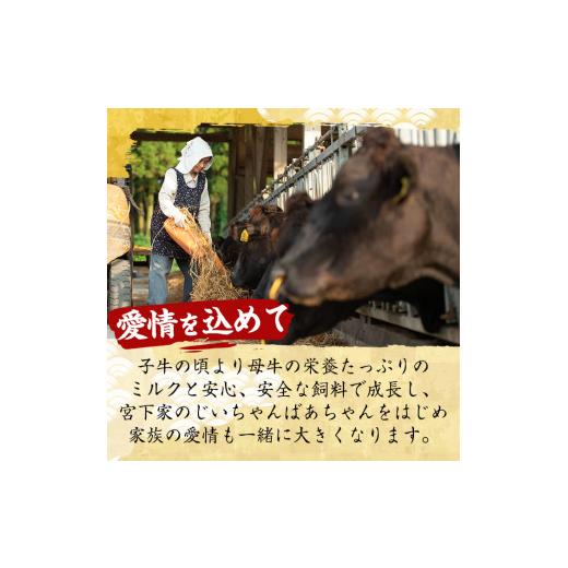 ふるさと納税 鹿児島県 日置市 No.420《先行予約受付中！2024年1月中旬以降に発送予定》 薩摩和牛の焼肉セット(合計800g・牛バラ焼肉用400g、モモもしくはカタ…