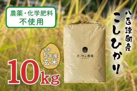 農薬・化学肥料不使用　オータニ農業の『コシヒカリ』玄米10kg