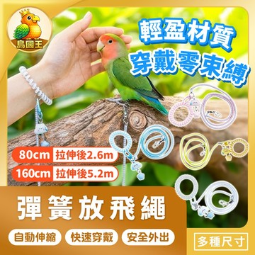 【鳥國王】彈簧放飛繩 鸚鵡外出繩 彈性外出繩 小鳥牽引繩 鸚鵡飛行繩 伸縮遛鳥繩 彈性外出飛行繩 鳥外出用品 寵物用品