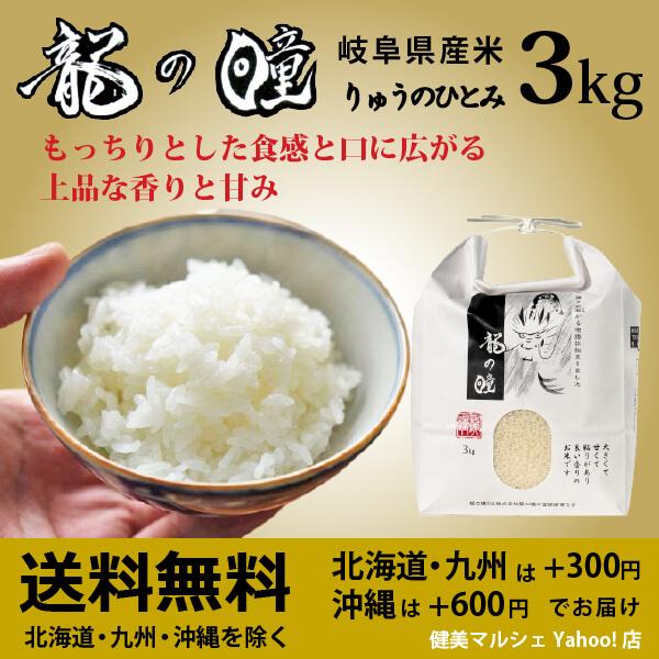 新米入荷 龍の瞳 3kg 令和5年産米 岐阜県産 白米  送料無料 一部地域除く