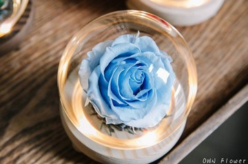 藍玫瑰/花夜燈/永生花玻璃盅/生日禮物/聖誕禮物/永生花禮/不凋花