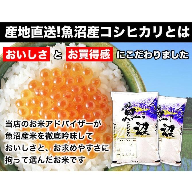 新米 令和5年産 お米 10kg 産直 魚沼コシヒカリ 新潟産 5kg×2袋 送料無料（北海道、九州、沖縄除く）