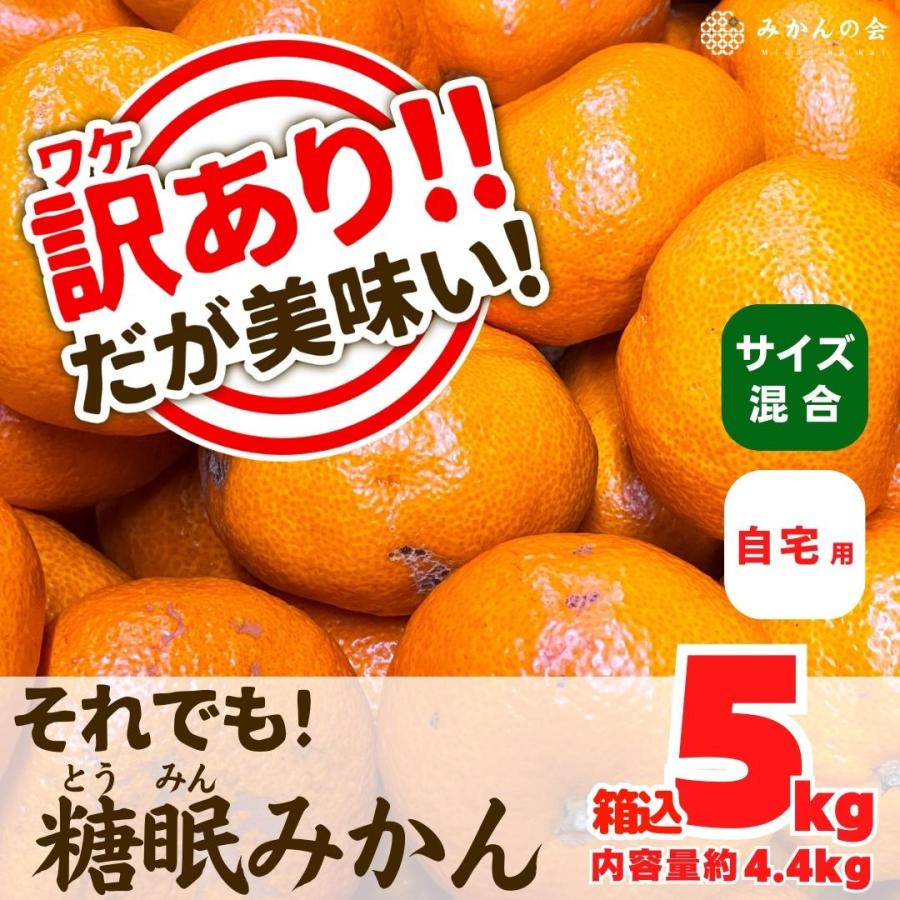 訳あり それでも 熟成みかん  箱込 5kg 内容量 4.4kg サイズミックス Ｂ品 有田みかん 和歌山県産 産地直送 家庭用