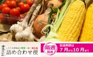 白馬そだち（旬の野菜・米・加工品）詰合せ便（全9回）7月から10月隔週お届け