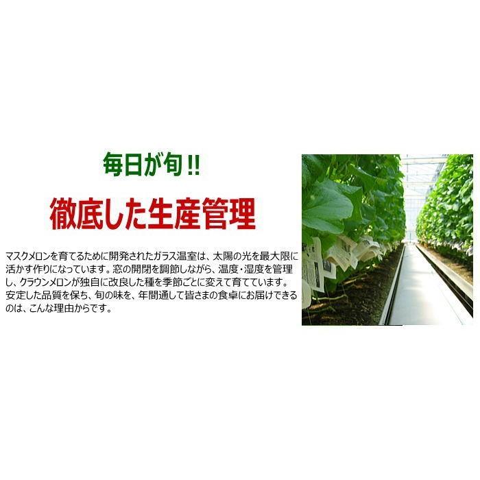 静岡県産　クラウンメロン1玉　約2.4〜2.6kg