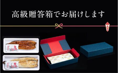 浜名湖産 朝じめ鰻 溶岩焼き コンビセット 約140g×2尾（蒲焼き 1尾・白焼き 1尾）