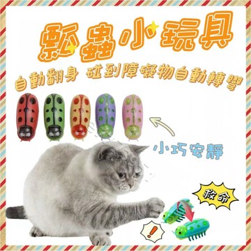 🔥台灣出貨+免運🔥電動瓢蟲小玩具 電動瓢蟲 貓咪玩具 電動貓玩具 小瓢蟲 逗貓玩具 逗貓神器 寵物玩具 貓玩具