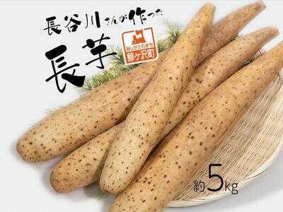 長谷川さんが作った長芋（約5kg）