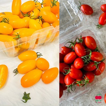 【舒果】台灣金瑩番茄2盒+台灣玉女番茄2盒_約1斤/盒 (各2盒/箱)