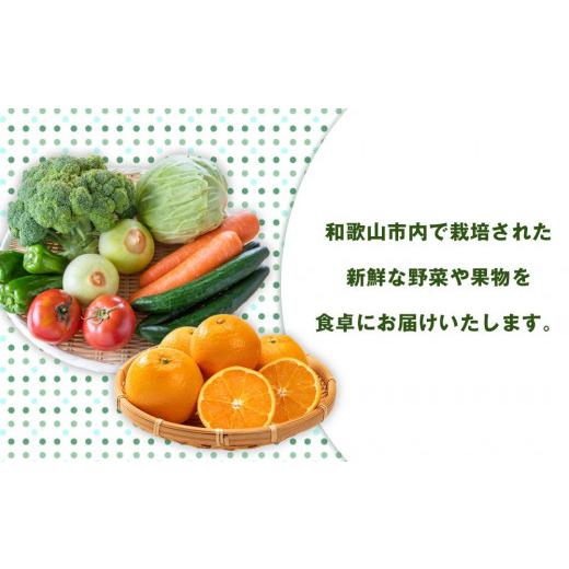 ふるさと納税 和歌山県 和歌山市 旬をお届け！和歌山市産・野菜または果物の詰め合わせ