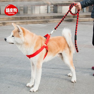 狗狗牽引繩遛狗繩項圈狗鏈子中型大型犬金毛柴犬拉布拉多寵物用品