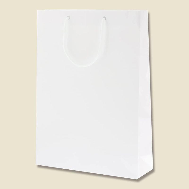 ケース販売HEIKO 紙袋 ブライトバッグ 55-15 白MT(マットPP貼り) 006459910 1ケース(10枚入×5袋 合計50枚) 