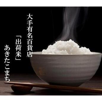 ふるさと納税 5kg（5kg×1）大手有名百貨店出荷米 あきたこまち 令和5年産米 秋田県大仙市