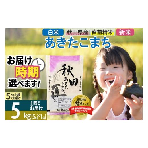 ふるさと納税 秋田県 仙北市 ＜新米＞ 秋田県産 あきたこまち 5kg (5kg×1袋) 令和5年産 時期選べる 5キロ お米 発送時期が選べる