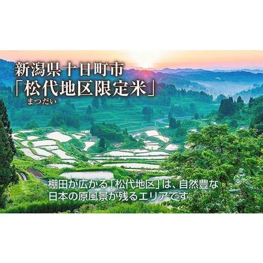 ふるさと納税 新潟県 十日町市  棚田米 魚沼産 コシヒカリ 30kg 新潟県 十日町市 松代地区 限定 棚田 こしひかり （お米屋秘伝！美味しいご飯の炊…