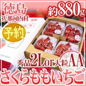 徳島県 ”佐那河内産 さくらももいちご” 秀品2L or 大粒AA 220g×4pc 送料無料