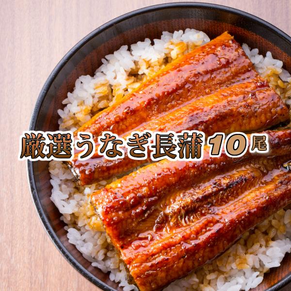 厳選鰻蒲焼約200ｇ×１０尾