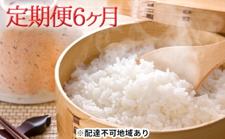 米 定期便 6ヶ月 特Aランク きぬむすめ 10kg（5kg×2袋） 令和5年産 岡山県産 米 お米 白米