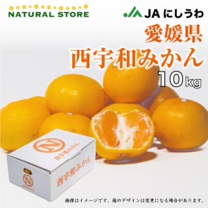 [予約 2023年12月1日-12月25日の納品] 西宇和みかん SML 約10kg 愛媛県 西宇和 早生 中生 南柑 産地箱 冬ギフト お歳暮 御歳暮