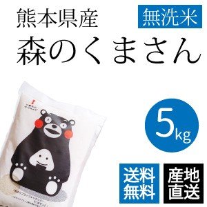 森のくまさん 無洗米 5kg 熊本県産 令和5年産 新米 くまモン米 ギフトとして当店人気1位のお米 精米