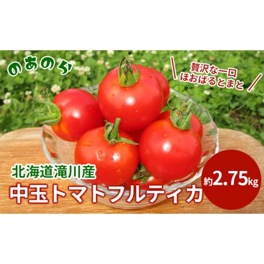 ふるさと納税 北海道 滝川市 贅沢な一口ほおばるとまと(北海道滝川市産中玉トマトフルティカ)2.75kg