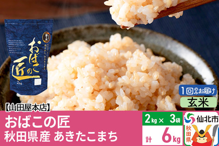 令和5年産 仙北市産 おばこの匠 6kg（2kg×3袋）秋田こまち