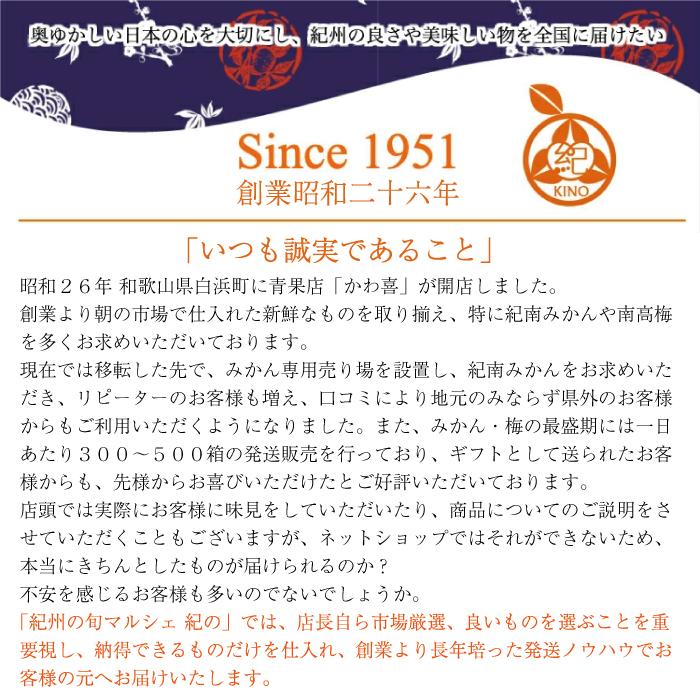 温州みかん 送料無料 多少キズあり ご家庭用 みかん 温州 紀南 ミカン 中玉 M 和歌山 フルーツ 果物 糖度 甘い 濃厚 家庭用 訳あり 紀の