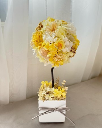 永生花許願樹 永生花花球樹