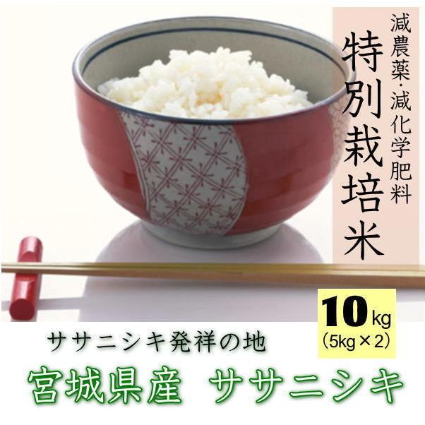 新米 令和5年産 宮城県産  ササニシキ 10kg 白米 5kg×2   無洗米 5kg×2 要選択 1等米 ※沖縄県送料2,000円