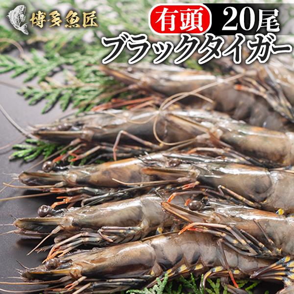 ブラックタイガー海老 有頭 20尾入り 1.3kg 冷凍 エビ 海鮮 おせち 送料無料