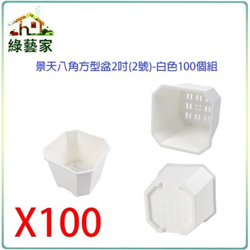 【綠藝家】景天八角方型盆2吋(2號)-白色100個/組