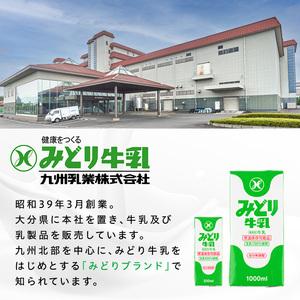 ふるさと納税 みどり牛乳(200ml×48本) ミルク 常温保存 長期保存 ロングライフ商品 乳飲料 乳製品 大分県 佐伯市 防災【九州乳業株.. 大分県佐伯市