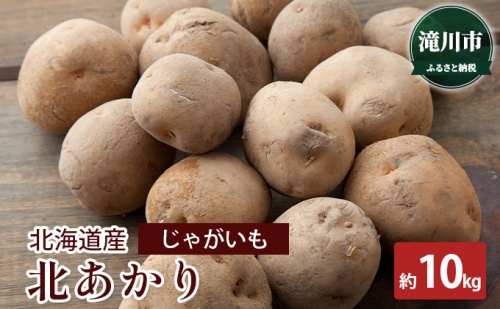 北海道産 じゃがいも北あかり 約10kg＜2023年9月下旬～順次出荷＞｜北海道 滝川市 北アカリ 北あかり キタアカリ きたあかり じゃがいも 野菜 2023年発送 令和5年発送 やさい ジャガイモ