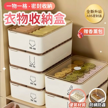 🔥桃園現貨 6h秒發貨🔥分格衣物收納盒 內衣收納 襪子收納 內褲收納 衣物收納格 抽屜收納盒 內衣褲收納 衣櫃收納 衣褲