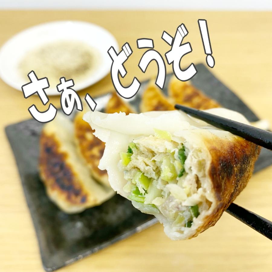 送料無料 冷凍餃子 宇都宮AQ餃子肉焼売セット  宇都宮 餃子 ぎょうざ ギョーザgyouza 餃子焼売セット シュウマイ シューマイ