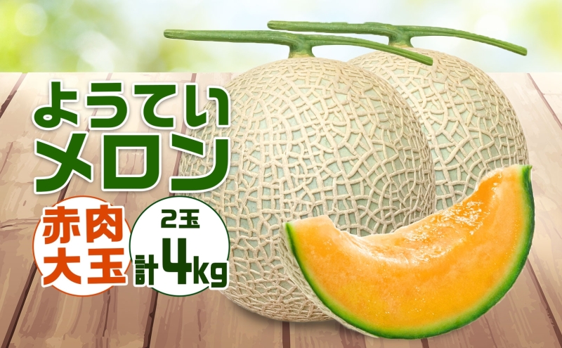 北海道 赤肉メロン 大玉 約2kg 2玉 メロン 赤肉 果物 フルーツ 甘い 完熟 スイーツ デザート 産直 国産 贈答品 お祝いギフト羊蹄山 JAようてい 送料無料 北海道 倶知安町