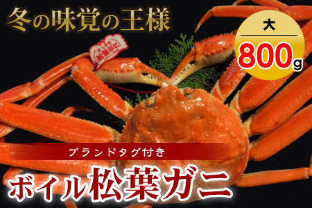 松葉ガニ タグ付きボイル松葉ガニ（大800g）ボイルタグ付き松葉ガニ 新鮮松葉ガニ 松葉がに かに カニ 蟹 ボイル かに カニ 蟹  かに カニ 蟹 かに 松葉がに