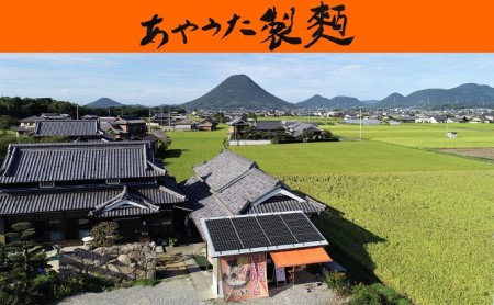 うどん 簡単 かけうどん 6人前 冷凍 ゆでうどん 丸亀 讃岐 讃岐うどん さぬきうどん つゆ 小袋 付き セット 麺類 加工食品 惣菜