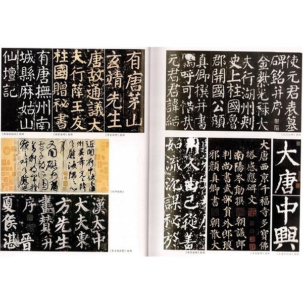 顔真卿争座位帖　行書技法宝典　中国語書道 #39068;真卿争座位帖　行#20070;技法宝典