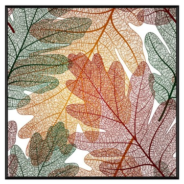 BOLUO GALLERY 菠蘿選畫所 紅楓葉舞 BFWP4422B  40 x 40cm  黑色