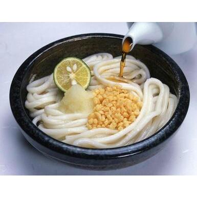 ふるさと納税 さぬき小豆島の冷凍ぶっかけうどん 8食セット 香川県小豆島町