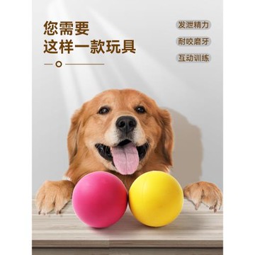 狗狗玩具耐咬彈力球大型犬金毛磨牙訓練橡膠球泰迪寵物玩具球