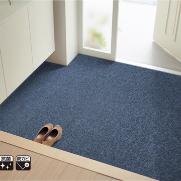 超薄5mm腳墊子門墊進門衛生間家用吸水防滑墊大門口客廳地墊訂做
